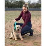 Parallax NimBrush Grooming Brush